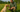 Ge hundgodis till en labrador