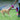 Hundleksaker - Barklie.se