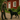 Bozita Robur - Adult Maintenance Hundfoder 13kg