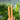 Rensticks Medium 20 cm – Naturligt Tugg